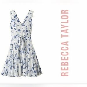 Rebecca Taylor Sleeveless V-Neck Meteor Dress Cottagecore